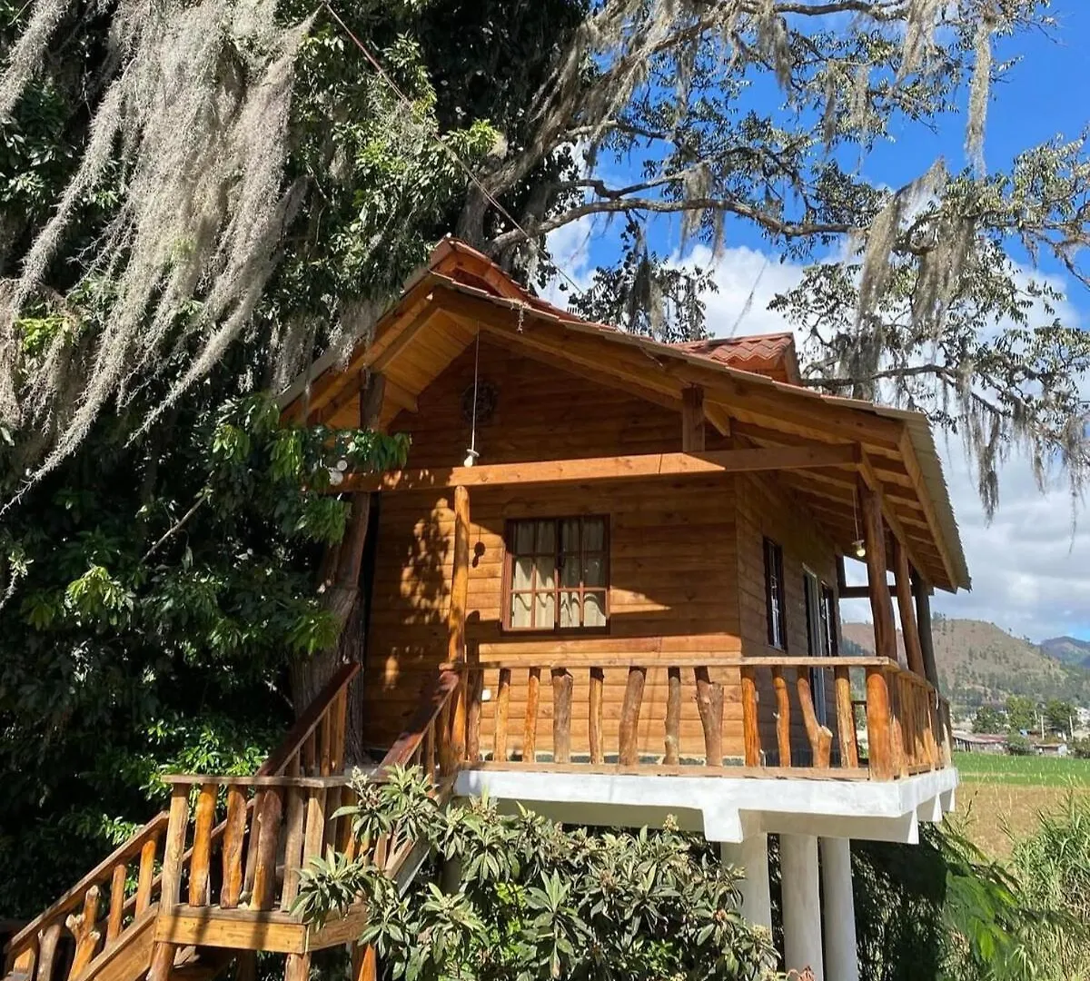 Casa Del Arbol Villa Constanza